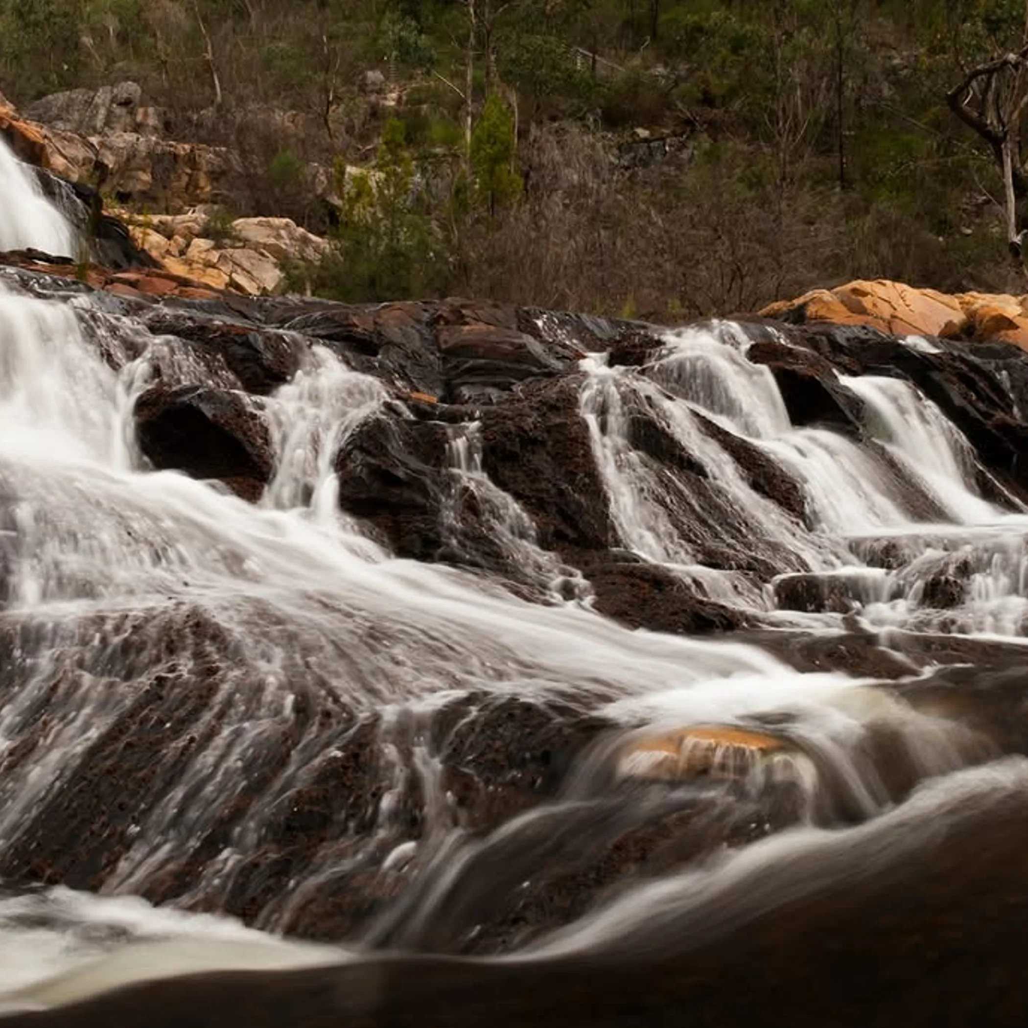 fish falls in the grampians