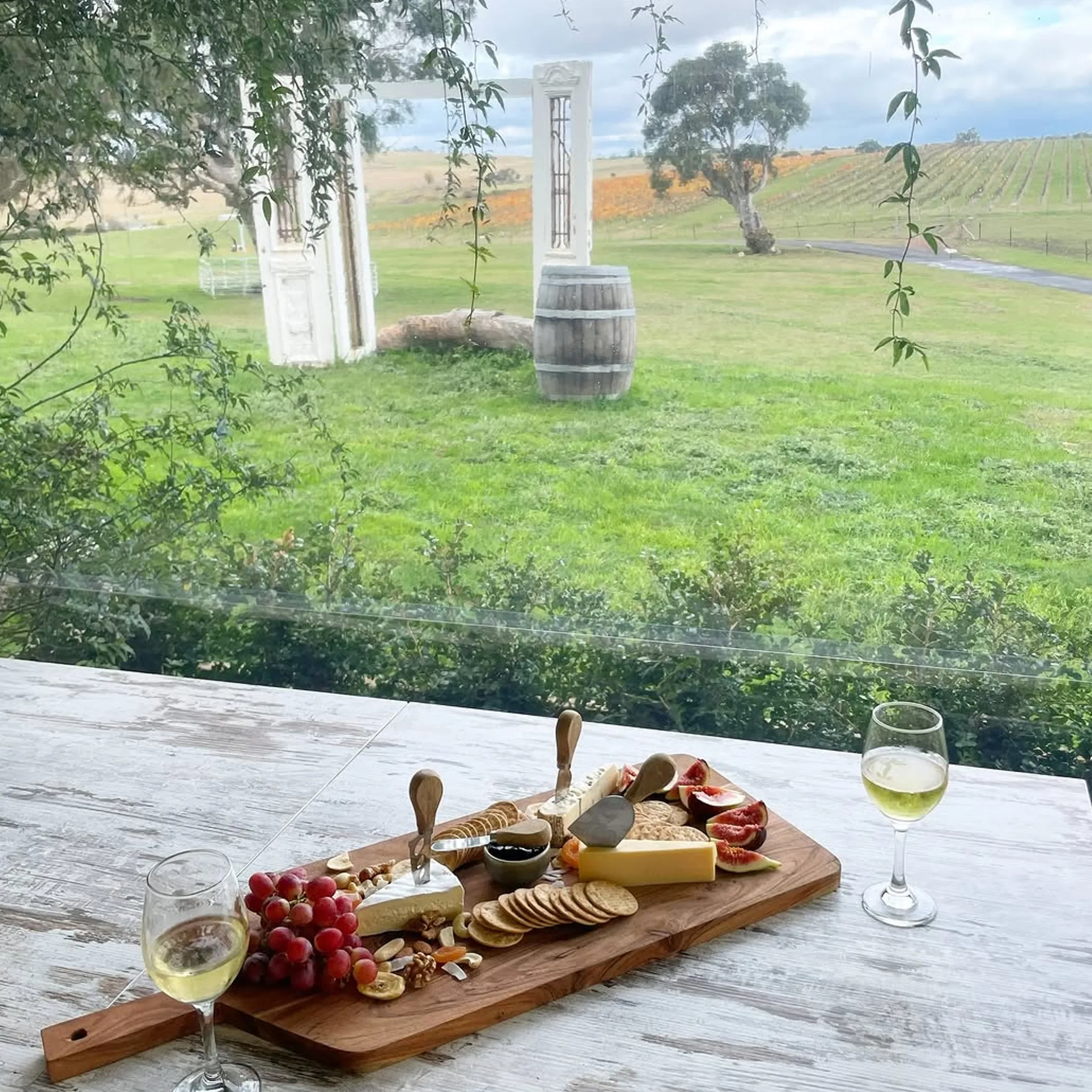 wine tasting and cheese platter overlooking vineyards