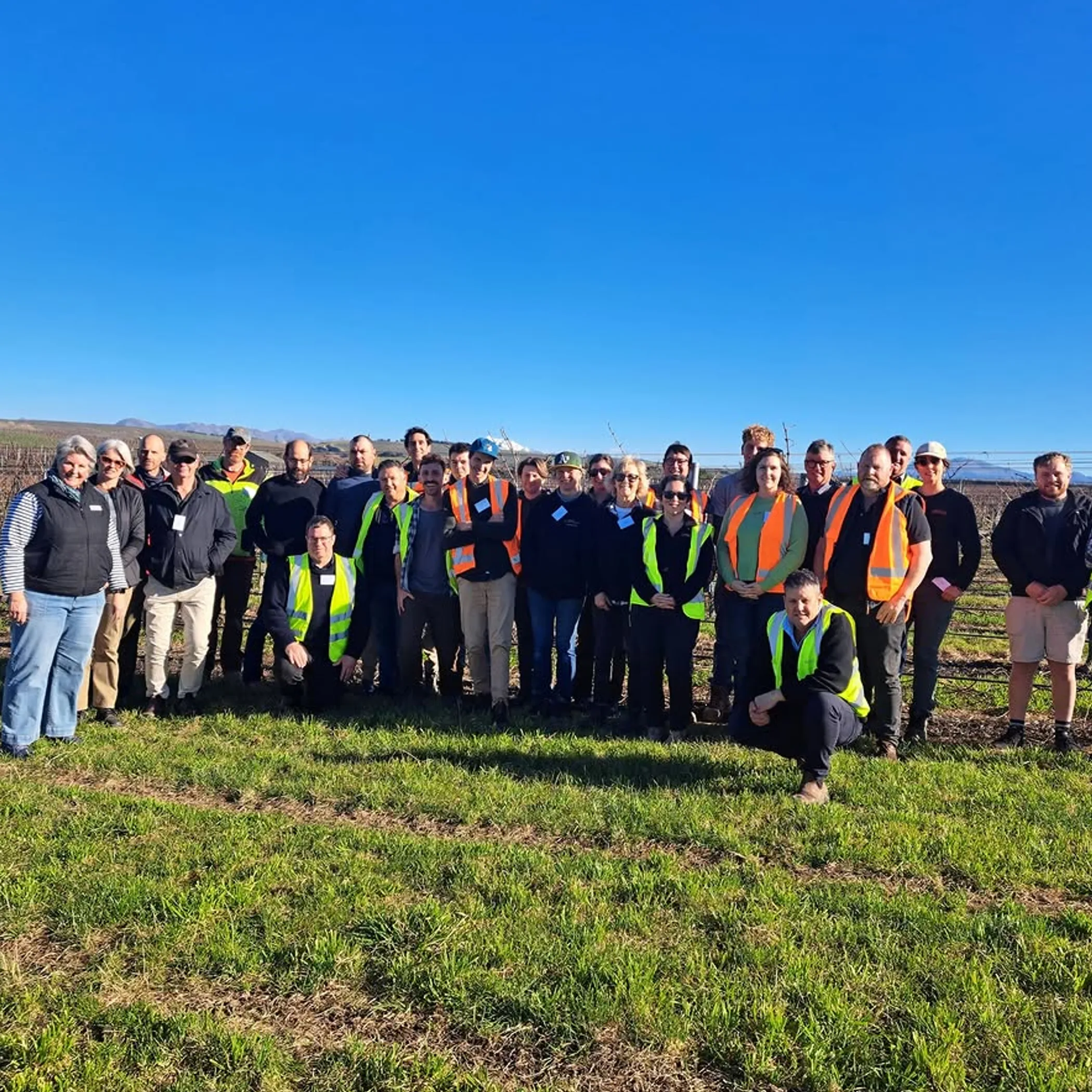 people in vineyard sustainability activities