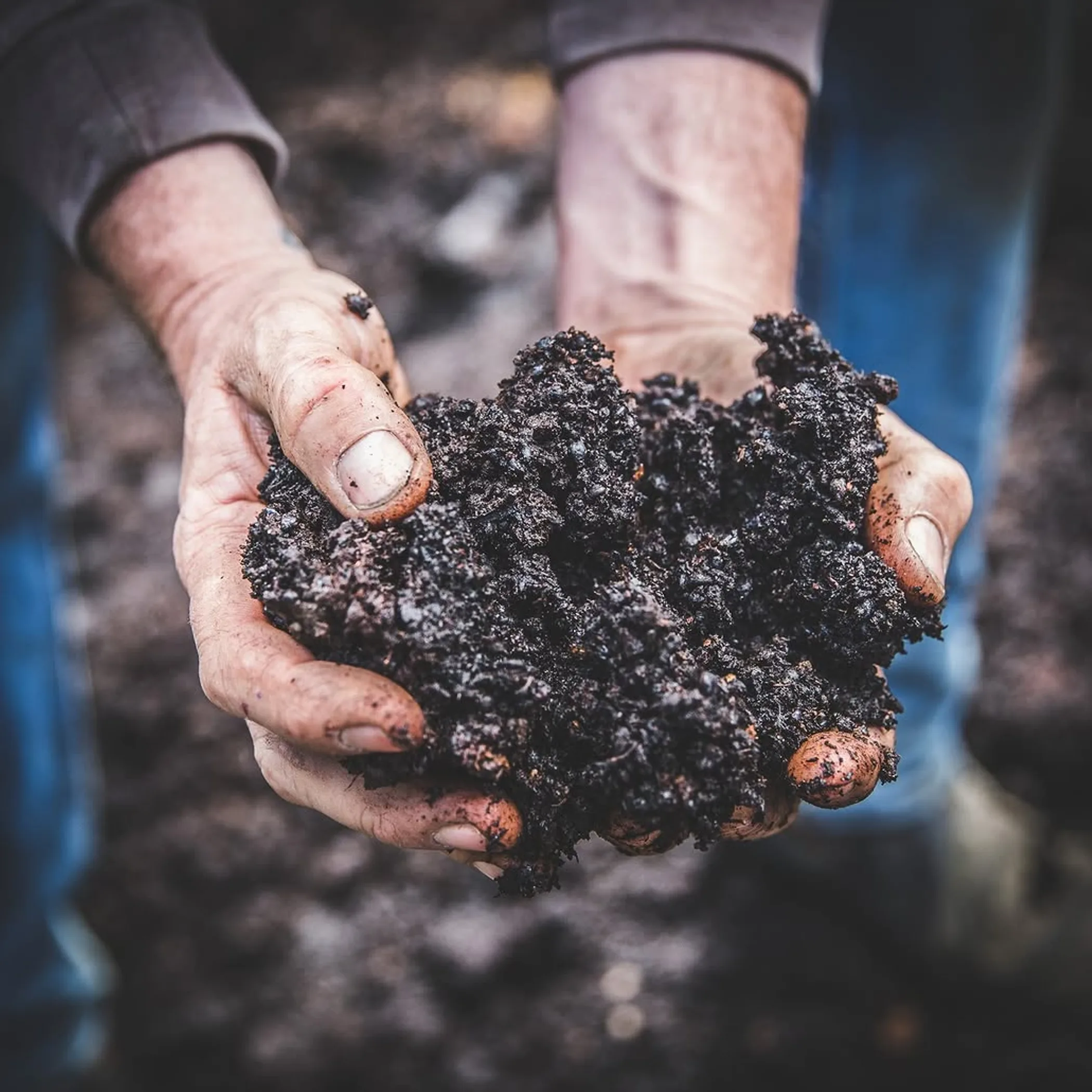 sustainable soil farming